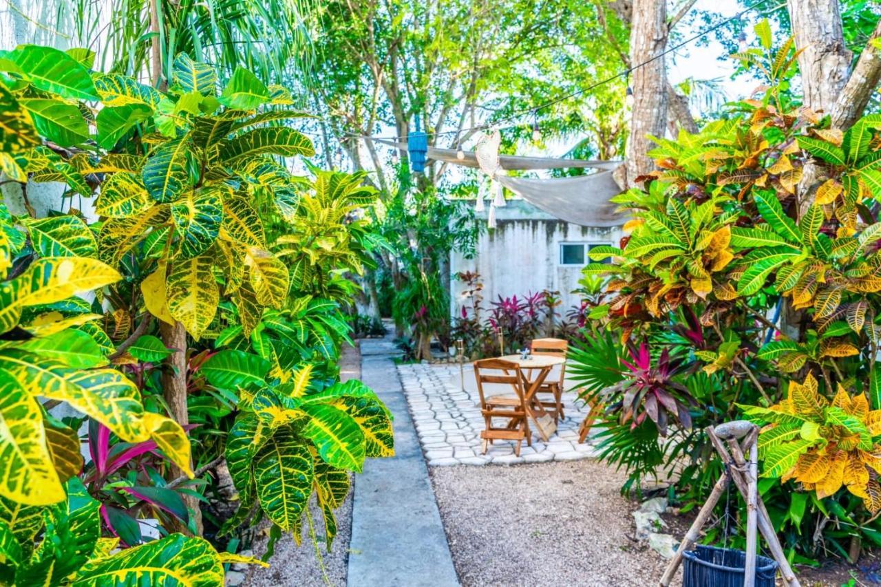 Casa Borush By Ecoplaneta Hotel Cancún Eksteriør billede